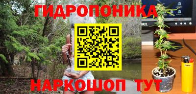 jwh Ижевск